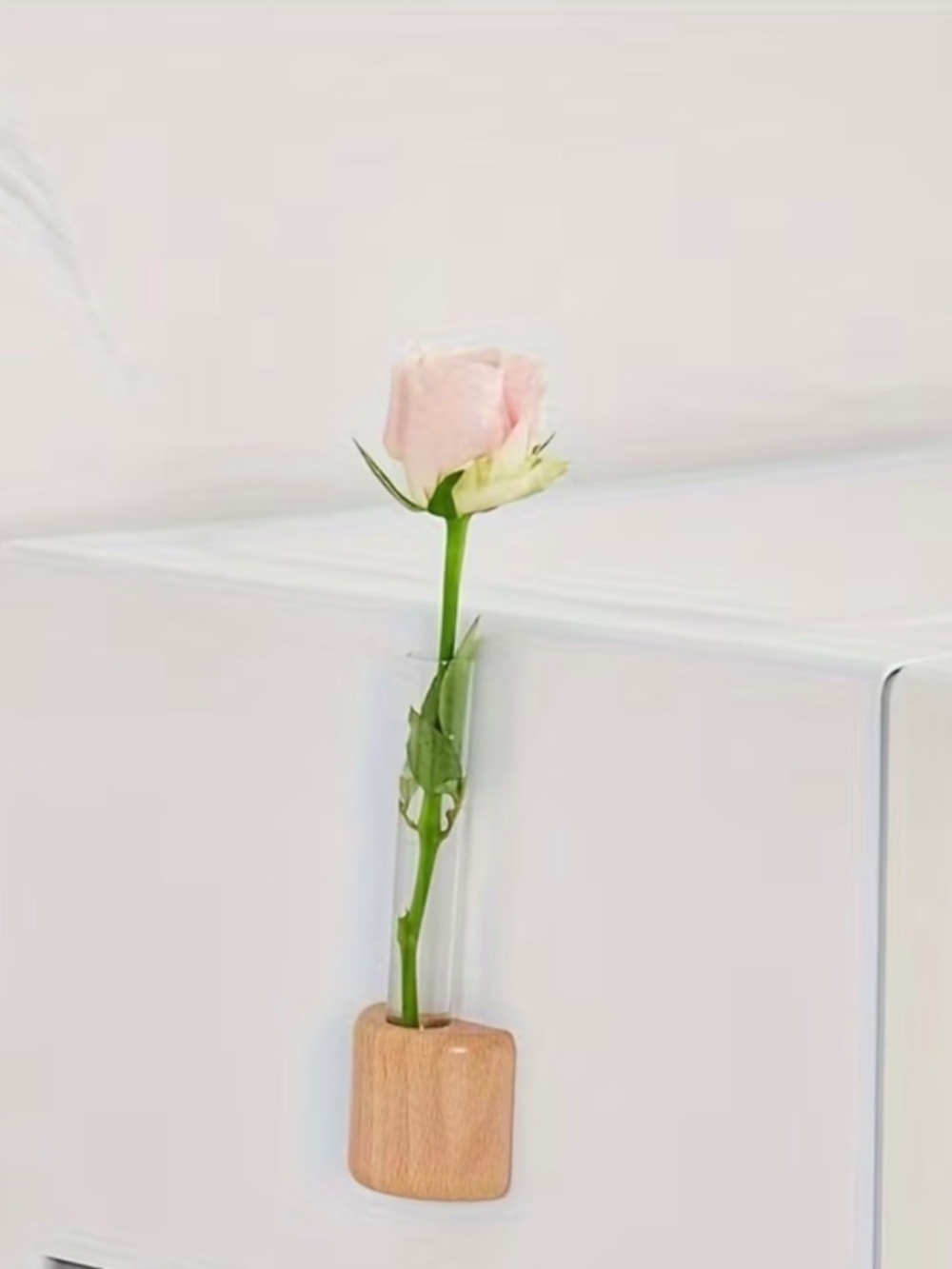 2 Piece Magnetic Propagation Hydroponic Bamboo Vase - Picture 4 of 5